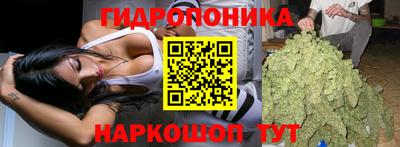 дживик Кинель