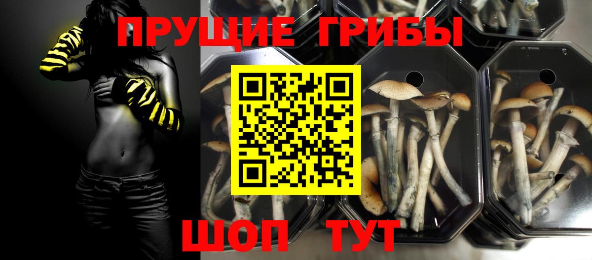 Галлюциногенные грибы мухоморы  Вход с VPN  Котельники 