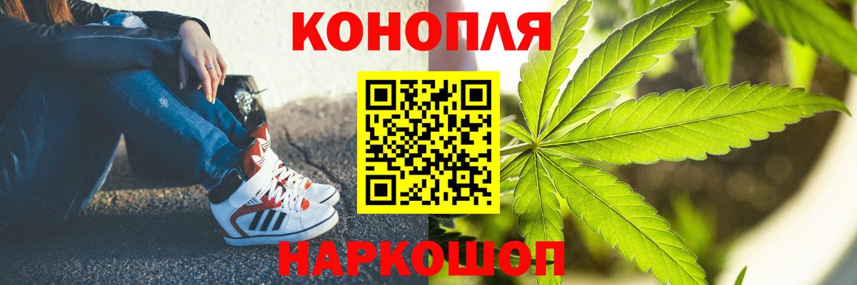 Канабис сатива  Бошки марихуана планчик  Вход с VPN  Котельники  Бошки Шишки OG Kush 